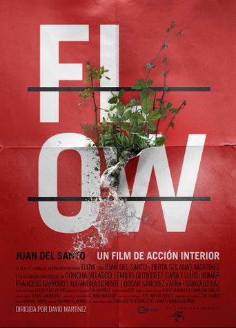  Flow Poster