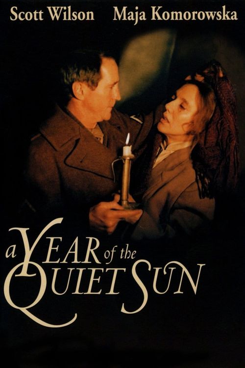A Year of the Quiet Sun Poster