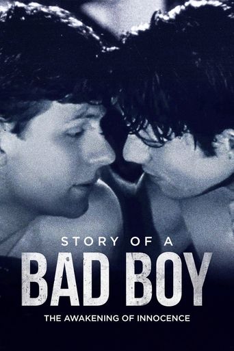  Story of a Bad Boy Poster