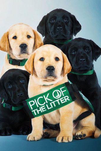 Pick of the Litter Poster