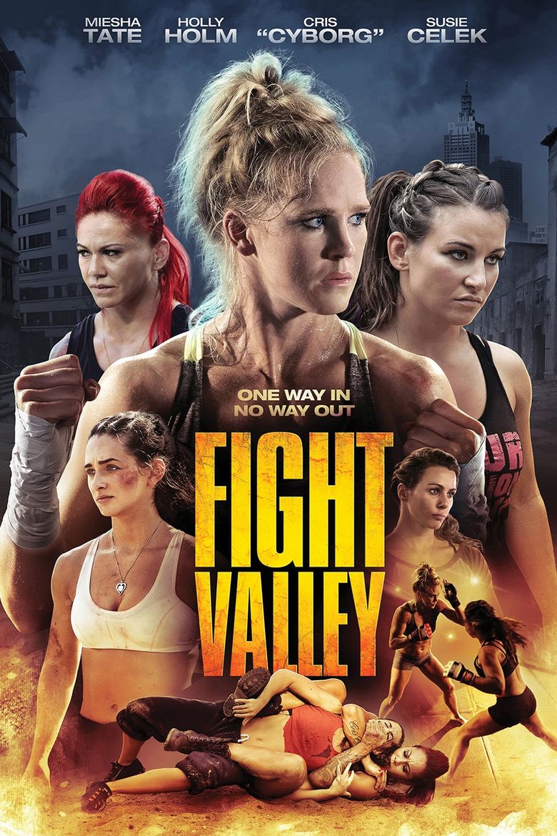 Fight Valley Poster