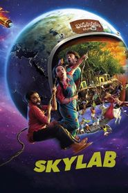  Skylab Poster