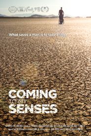  Coming to My Senses Poster