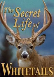  The Secret Life of Whitetails Poster