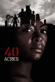  40 Acres Poster