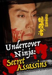  Undercover Ninja: Secret Assassins Poster