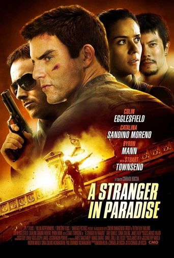  A Stranger in Paradise Poster