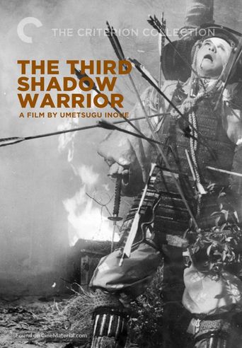  The Third Shadow Warrior Poster