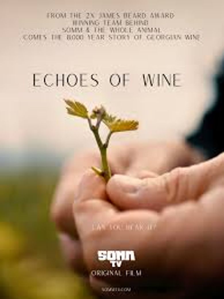 Echoes of Wine