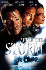  After the Storm Poster