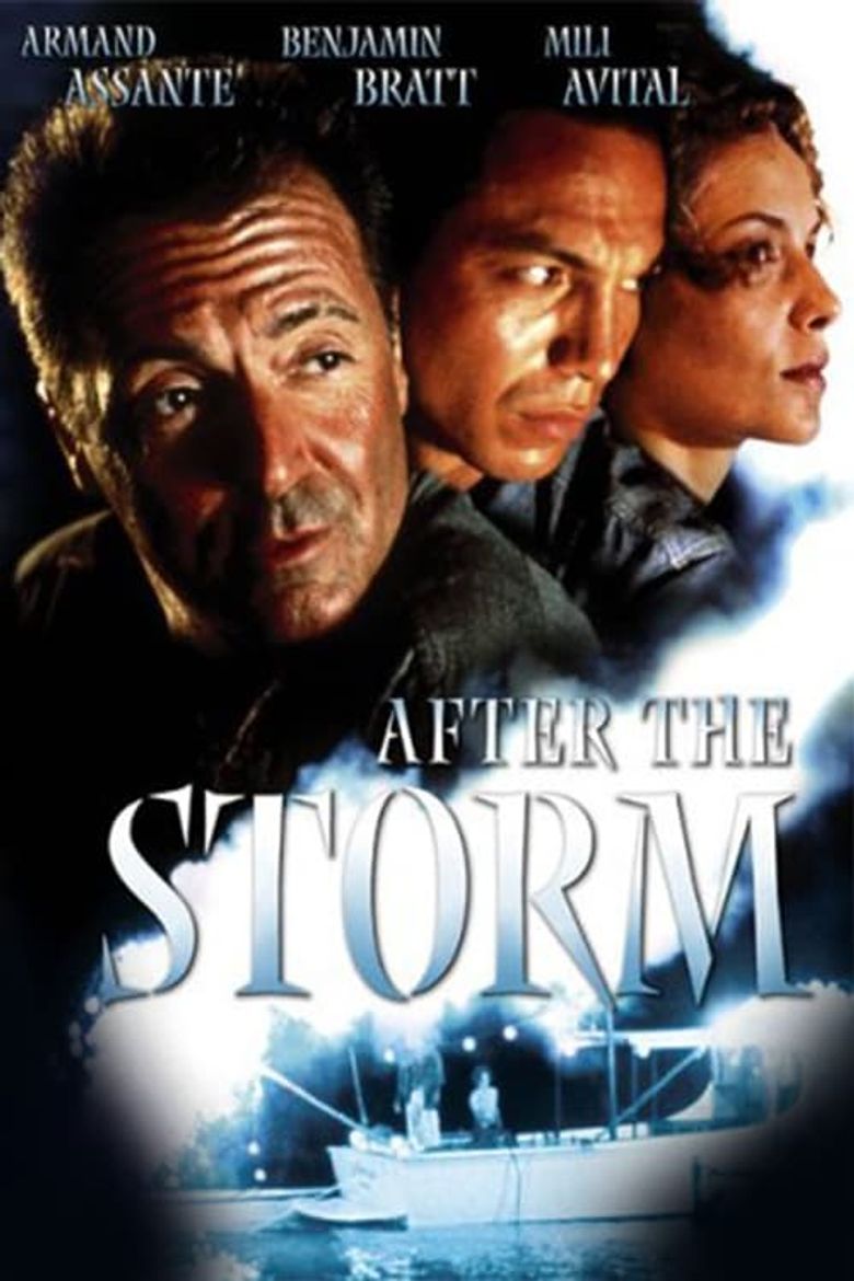 After the Storm Poster
