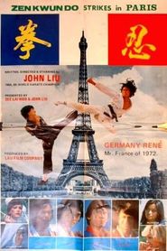 Zen Kwan Do Strikes Paris Poster