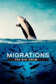  Migrations: The Big Swim Poster