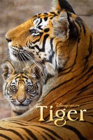 Upcoming Tiger Poster
