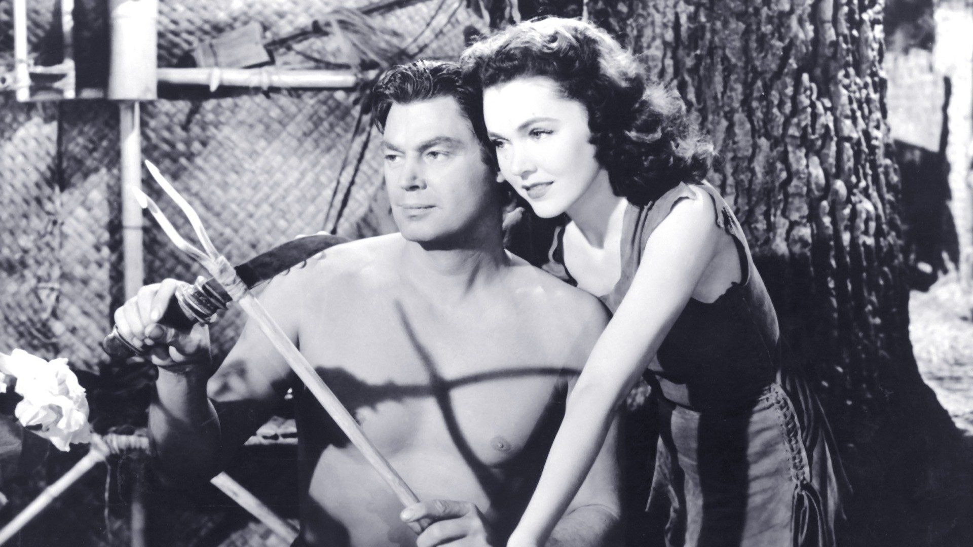 Tarzan's Secret Treasure Backdrop
