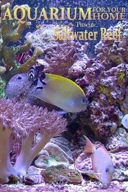 Aquarium for Your Home: Saltwater Reef Poster
