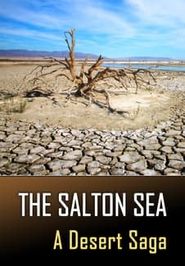  The Salton Sea: A Desert Saga Poster