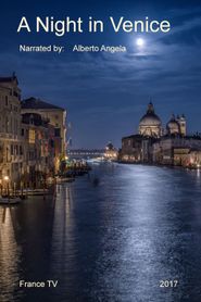 A Night in Venice Poster