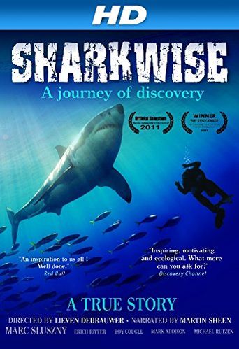  Sharkwise Poster