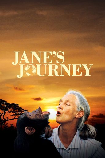  Jane's Journey Poster