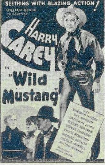  Wild Mustang Poster