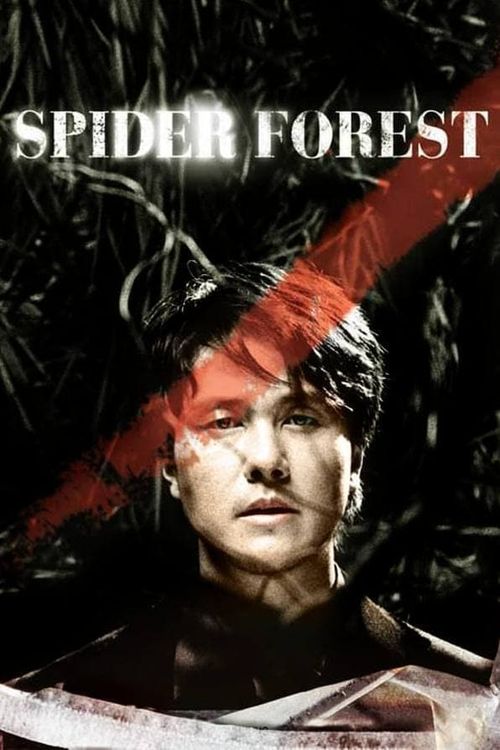 Spider Forest Poster