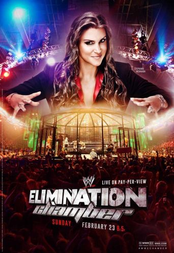 WWE Elimination Chamber 2014 Poster