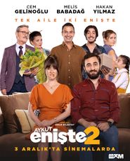  Brother in Love 2 Poster