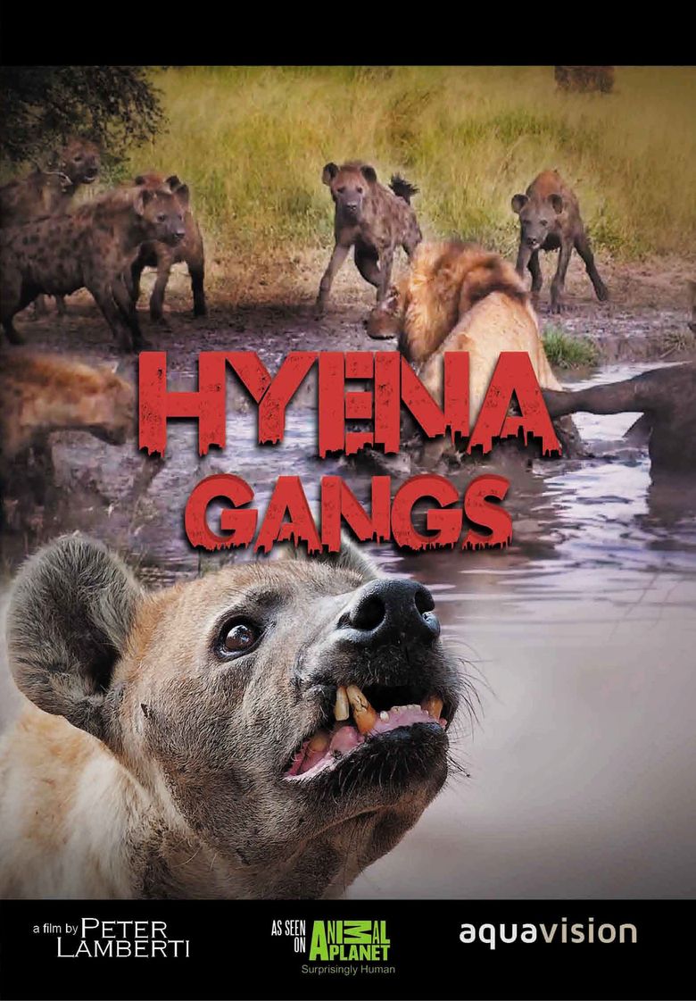 Hyena Gangs