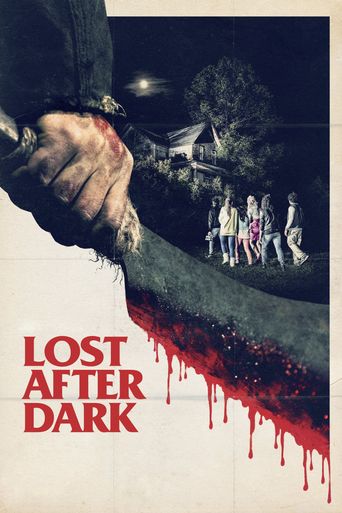  Lost After Dark Poster