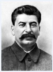  In the Wake of Stalin Poster