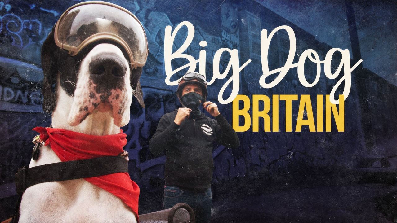 Big Dog Britain Backdrop