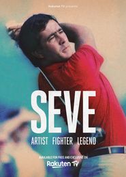  SEVE Artist Fighter Legend Poster