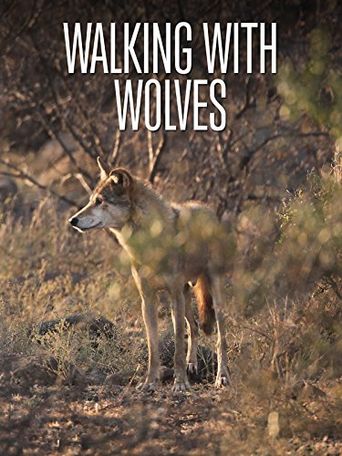  Walking with Wolves Poster