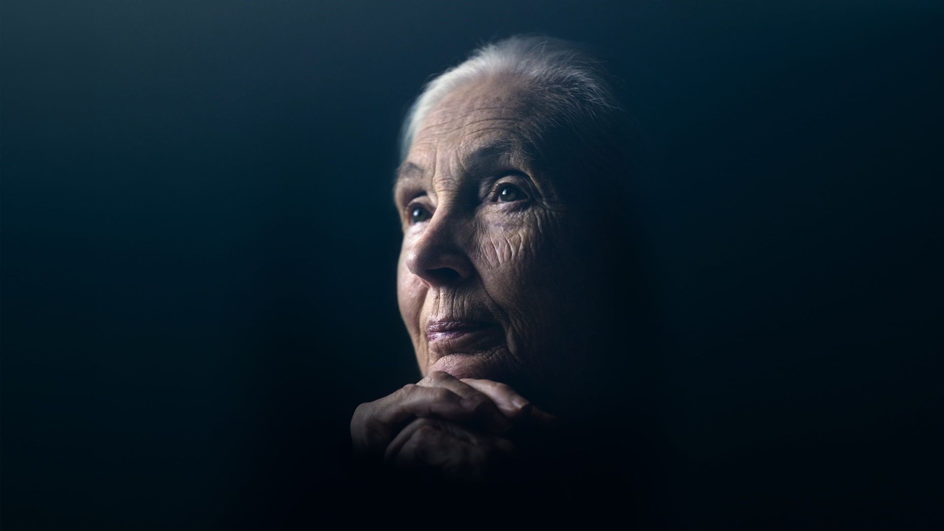 Jane Goodall: The Hope Backdrop