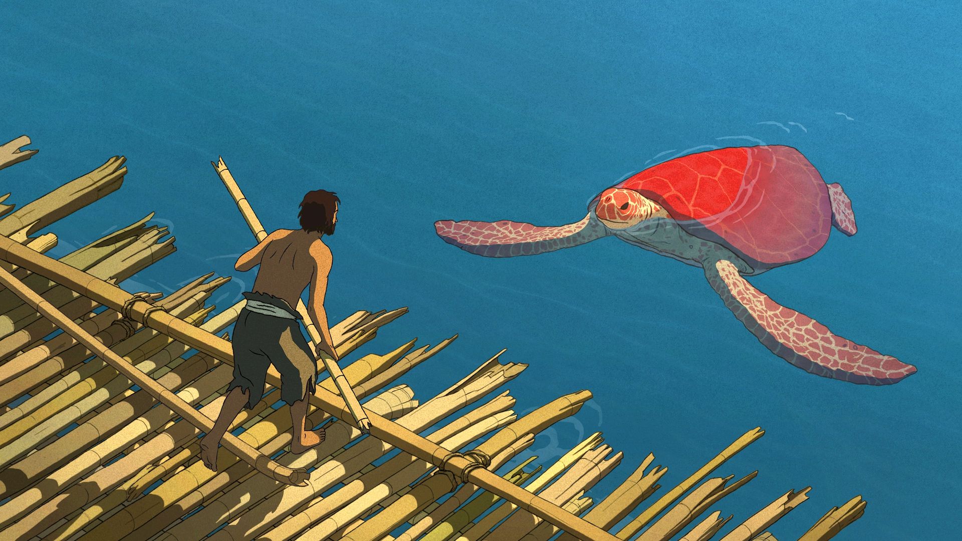 The Red Turtle Backdrop