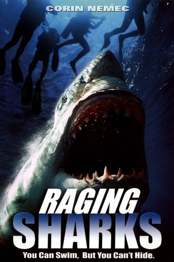  Raging Sharks Poster