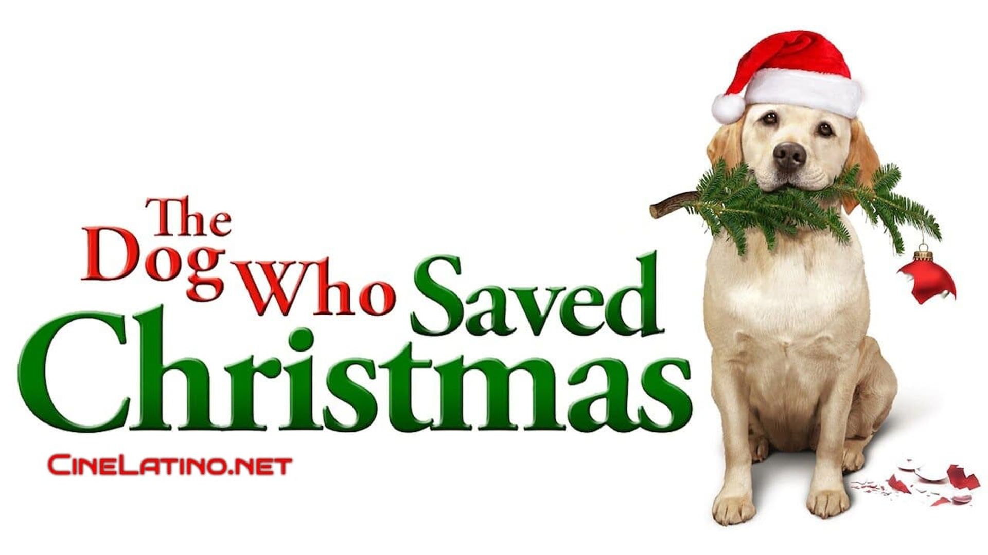 The Dog Who Saved the Holidays Backdrop