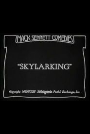  Skylarking Poster