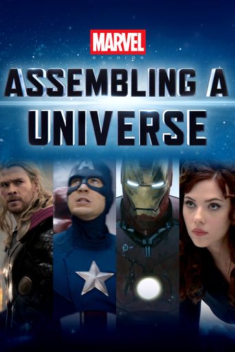  Marvel Studios: Assembling a Universe Poster