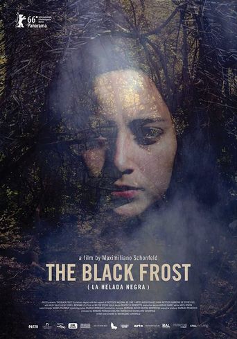  The Black Frost Poster