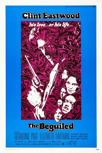  The Beguiled Poster