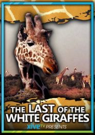  The Last of the White Giraffes Poster