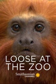  Loose at the Zoo Poster