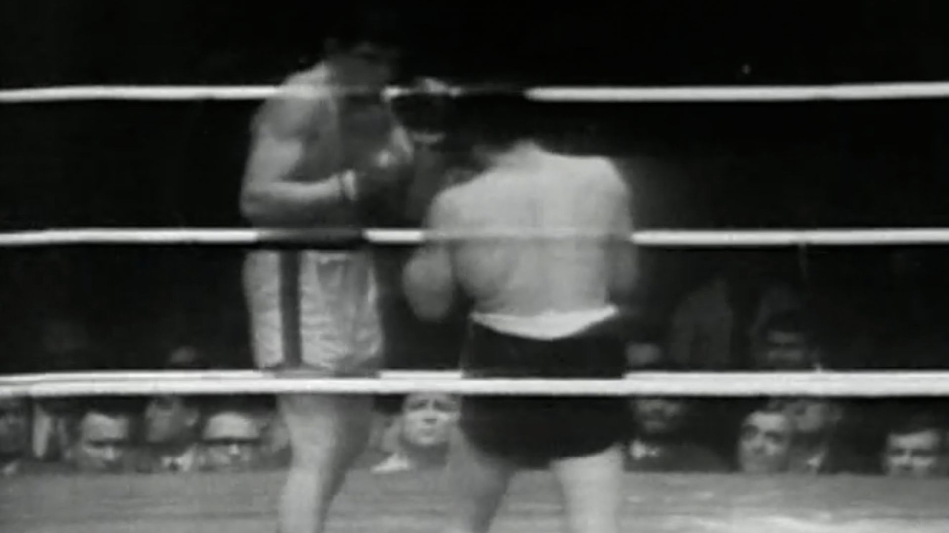 Ringo (2022): Where to Watch and Stream Online | Reelgood