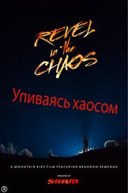  Revel in the Chaos Poster
