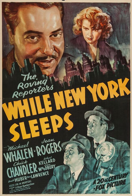 While New York Sleeps Poster