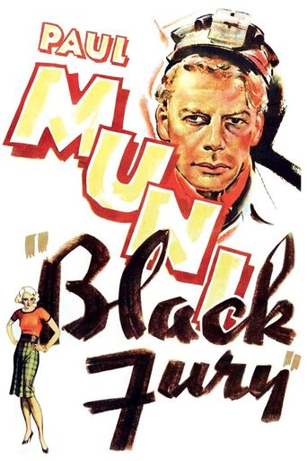  Black Fury Poster