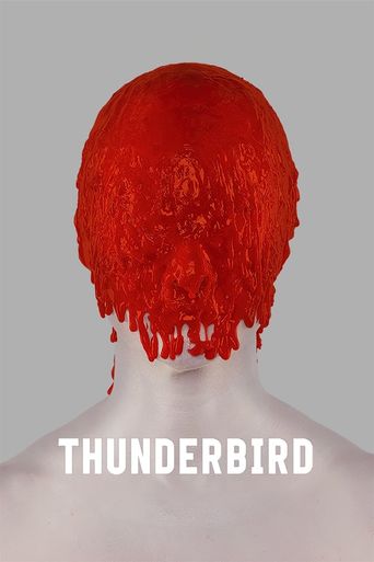  Thunderbird Poster