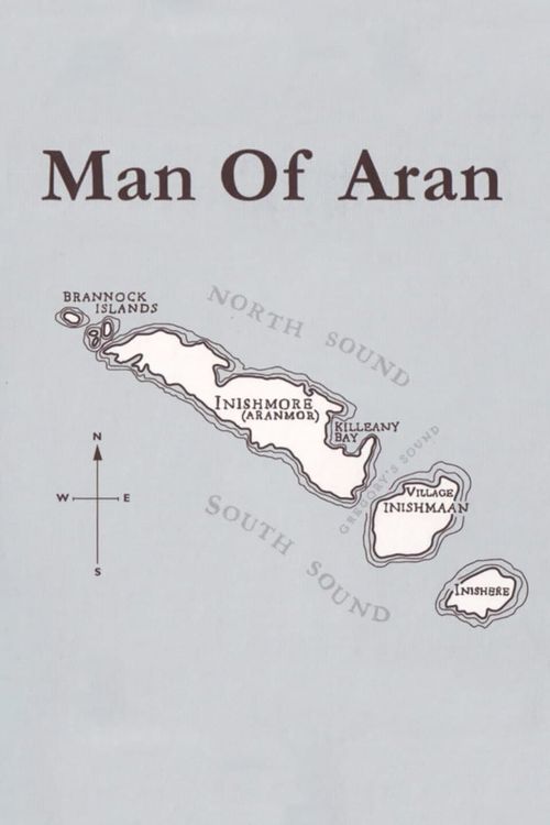 Man of Aran Poster